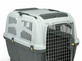 transportin para perros raza mediana