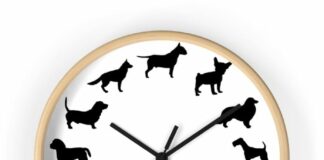 reloj interno de tu perro