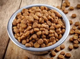 comida para perros