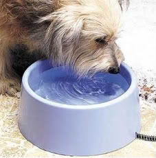 flotante mezcla excusa Recipiente de agua calefactado para mascotas