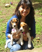 Aura-con-beagles-Tandy-y-Connie