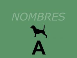 Nombres-perros_A