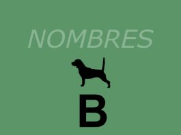 Nombres-perros_letra_B