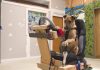 perro en un asiento y volante adaptado