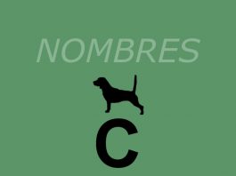 Nombres-perros_C