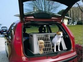 Viajar con tu perro jaula de perro para el coche