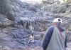 beagle-Kima-Canarias-explorando-rocas