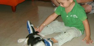 Beagle-Lukas-juega-con-niño