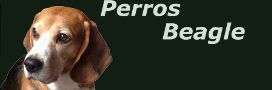 Logo Perros-Beagle.com