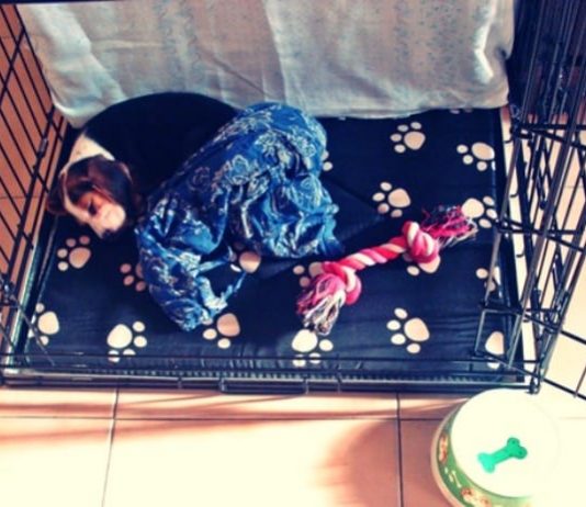 Sydney: primera semana educando a un cachorro educando a un cachorro beagle-sydney