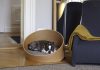 cama para perro con estructura de madera - Covo