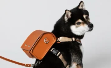 perro con mochila Tsuchiya Kaban