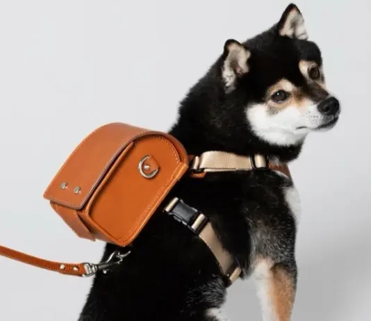 perro con mochila Tsuchiya Kaban