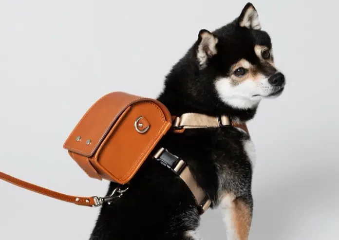 perro con mochila Tsuchiya Kaban