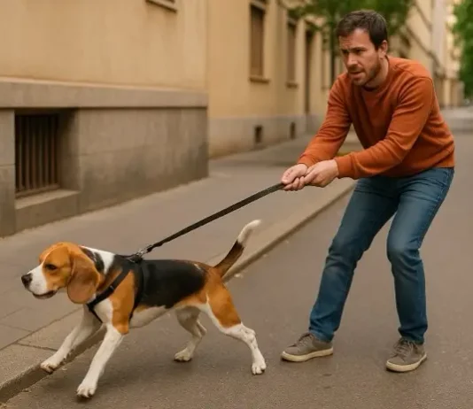 Perro tira de la correa durante el paseo, dueño sujetando con esfuerzo en la calle