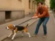 Perro tira de la correa durante el paseo, dueño sujetando con esfuerzo en la calle
